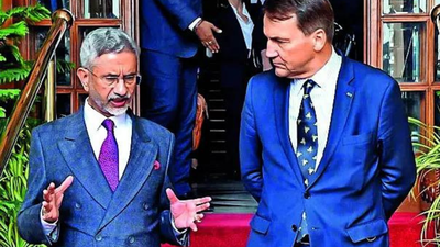 As Poland courts Pakistan, India advises zero tolerance for terror