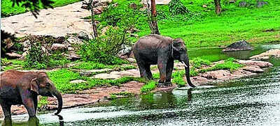 Representational image Aravalli-like row in Bengaluru: SC panel visit today