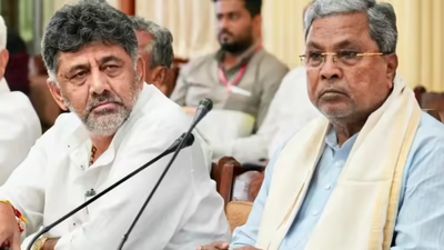 'Decision at right time': DK Shivakumar's brother namedrops Rahul Gandhi in CM row; Siddaramaiah puts it to 'high command’