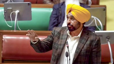 Akal Takht summons Mann over 'anti-Sikh remarks'