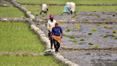 Agriculture scientists and innovative farmers get Padma Shri boost for their pioneering efforts