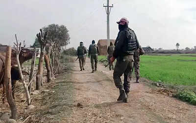 J&K encounter: Jaish terrorist killed in Kathua; was a Pakistani national