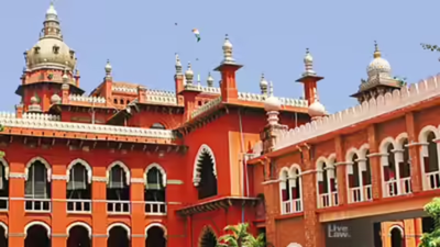 Tamil Nadu moves HC to cancel YouTuber's interim medical bail