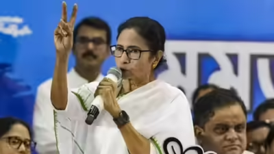 Intervention shows she has lot to hide: BJP