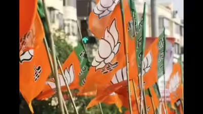 . BJP drops Badlapur Pocso case accused as councillor