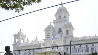 Two-child norm scrapped: Telangana minister cites low fertility rate; panchayat poll rules reset