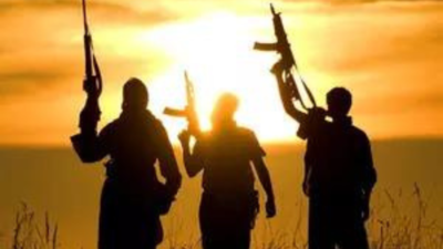 J&K LG sacks 5 govt staff over links with terror outfits