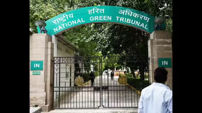 . To cut trees for roads, NGT bench wants national policy