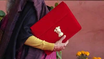 Mental Health Takes Priority In Budget 2026, FM Sitharaman Announces NIMHANS 2 For North India