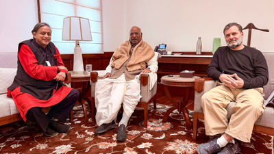 'No Rebellion, No Ambition': Shashi Tharoor Sends Unity Signal After Meeting Rahul Gandhi, Kharge
