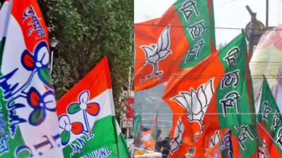 . Trinamool names 4 Rajya Sabha candidates, BJP hits back over 'non-Bengali' charge