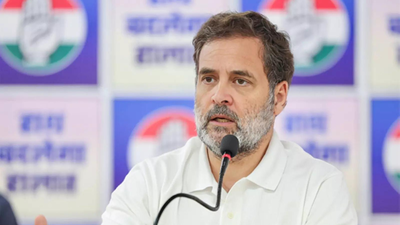 'Either Naravane Or Penguin Is Lying': Rahul Gandhi Reacts To Publisher's Statement On Memoir