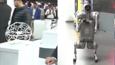 AI Impact Summit: Facing Backlash Over China-made Robo Dog, Galgotias University Told To Leave Event