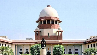 'Who will pay for it?': SC raps Tamil Nadu govt for promising free electricity; flags 'freebie' politics
