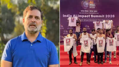'Peaceful protest our right': Rahul Gandhi backs Youth Congress after chief's arrest, says 'proud of Babbar Sher comrades'