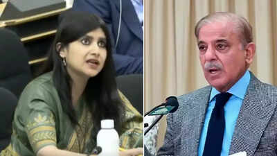 'Living In La La Land': India Destroys Pakistan At UN, Says J&K's Budget Is Double Of IMF Bailout