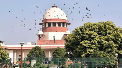 'Heads Must Roll': Centre Says Sorry Over NCERT Chapter, Supreme Court Demands Accountability