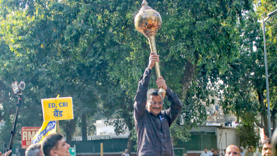 "If BJP Wins Over 10 Seats...": Kejriwal Throws Open Challenge After Court Relief