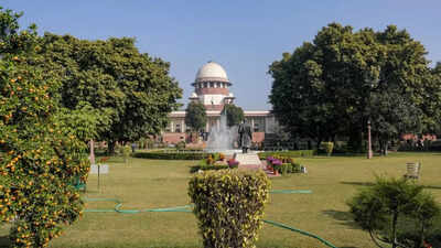 'Can't be compelled': SC allows termination of minor's 30-wk fetus