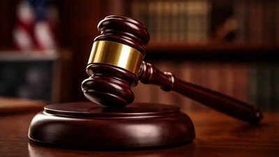 Judiciary must not create anti-investment climate: SC