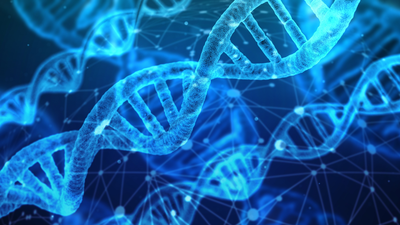 How long you will live is mainly decided by your genes: Study