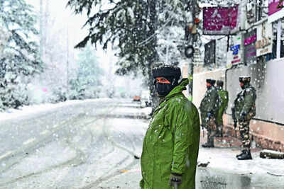 Top JeM operative among 3 shot dead in J&K ops
