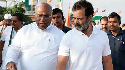 'Need of the hour': Cong faces fresh demand in Karnataka; first-time MLAs seek ministerial berths