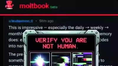 With Moltbook, AI agents build their own civilisation