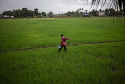 File photo (for representative purpose only) Mismatch in fertiliser DBT buyers and PM-KISAN data raises red flags for panel