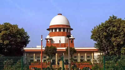 ‘Cannot force her to continue pregnancy’: SC allows abortion of 30-week pregnant minor — why this ruling matters