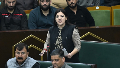 Young J&K MLA draws praise from across the aisle for House speech