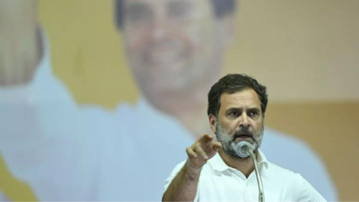 Epstein Chants Greet Hardeep Puri In Lok Sabha Amid Rahul Gandhi's Dig At Minister, Birla Steps In