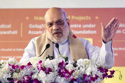  ‘Chai-Pakora At Parl Door’: Amit Shah Hits Out At Rahul Gandhi Over LPG Protest, AI Summit Row