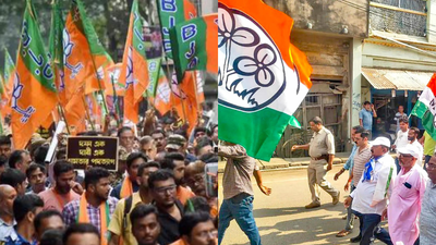 Bengal Elections: EC Publishes Supplementary Voter List, TMC Claims 40% Names Affected