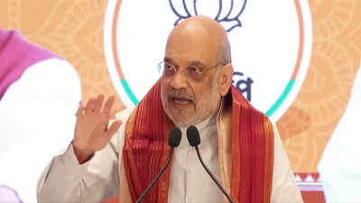 Anarchy, Infiltration Top Amit Shah's 'Chargesheets' Against Mamata Banerjee Ahead Of Bengal Polls 