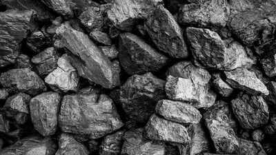 Adequate coal stocks to meet rising energy needs: Govt