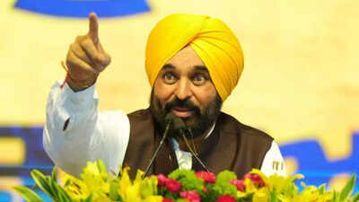 ‘Why have you stopped paying?' Punjab to seek water royalty from Rajasthan; Mann claims Rs 1.44 lakh crore dues since 1960