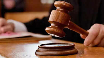 Govt obligations to provide for road, education can't be industry: AG