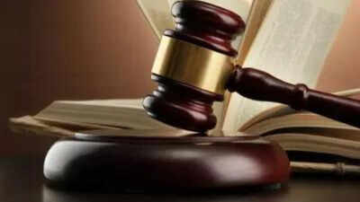 Remove posts linking mantri's daughter to Epstein in 24 hours: HC