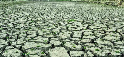 El Nino may hit India's monsoon, hotter months ahead, says WMO