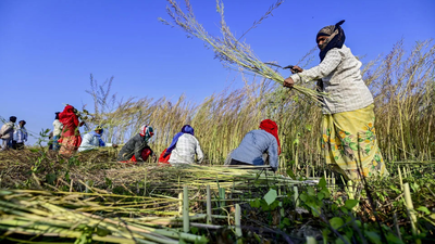 Grains for all: UP boosts food security with tech, nutrition and robust procurement systems