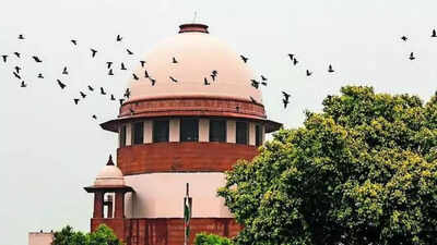 Supreme Court of India After 41 years, Supreme Court finds accused guilty but waives prison term