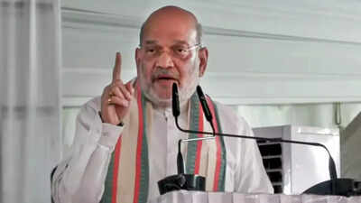 File photo 'Red corridor' will be crushed by March 31, says Amit Shah
