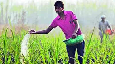 Gulf conflict: LNG squeeze may impact urea output ahead of kharif season
