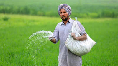 Urea output drops to 18L tonnes from 24L due to West Asia conflict