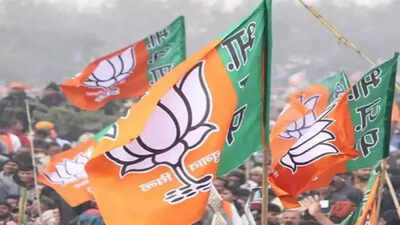 Patna Posters Push Nishant Kumar As Next Chief Minister Of Bihar