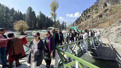 Pahalgam valley (PTI image) Built on sacrifice, a house for Pahalgam’s lionhearted pony-wallah