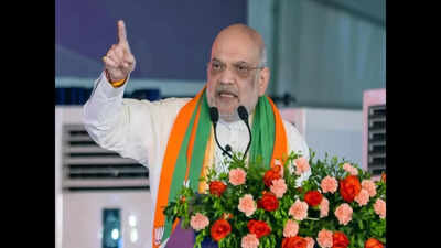 <p>Amit Shah<br></p> Will drop 'false' cases against Gorkha netas, says Amit Shah