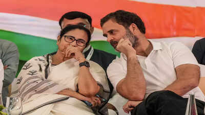 Mamata Banerjee and Rahul Gandhi (File photo/PTI) Why Congress faces a ‘no-win’ situation in West Bengal