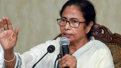 ‘Have guts? Face me directly’: Mamata Banerjee dares BJP after I-T raids